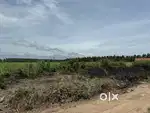 Land For Sale Mettuppalaiyam