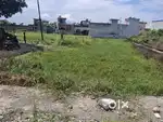 Sell my plot urgently need of money