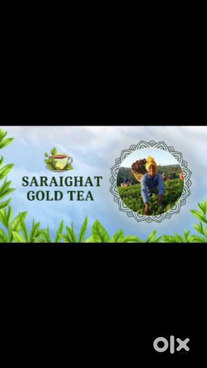 Territory Sales Officer