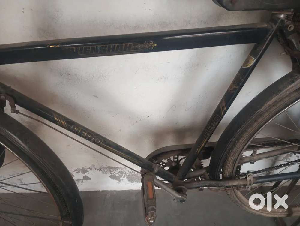 2019 model