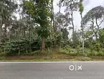 1.58 Acre (68,825 sq ft) Coffee Estate in Virajpet, Coorg