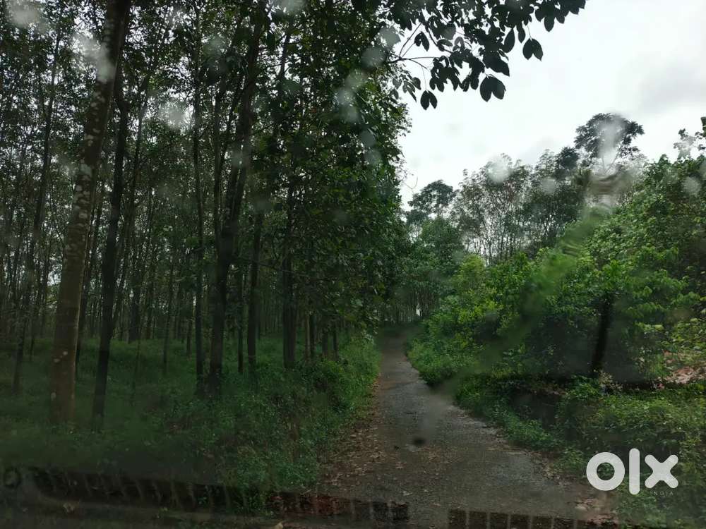 Muvattupuzha kalloorkad perummakandam 2 acres 30 cent for sale