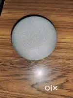 Google home mini