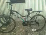 Molto companies, petco bycycle