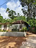 ഇളമ്പള്ളൂരിൽ 5.5 സെന്റ് വസ്തു വില്പനയ്ക്ക്.