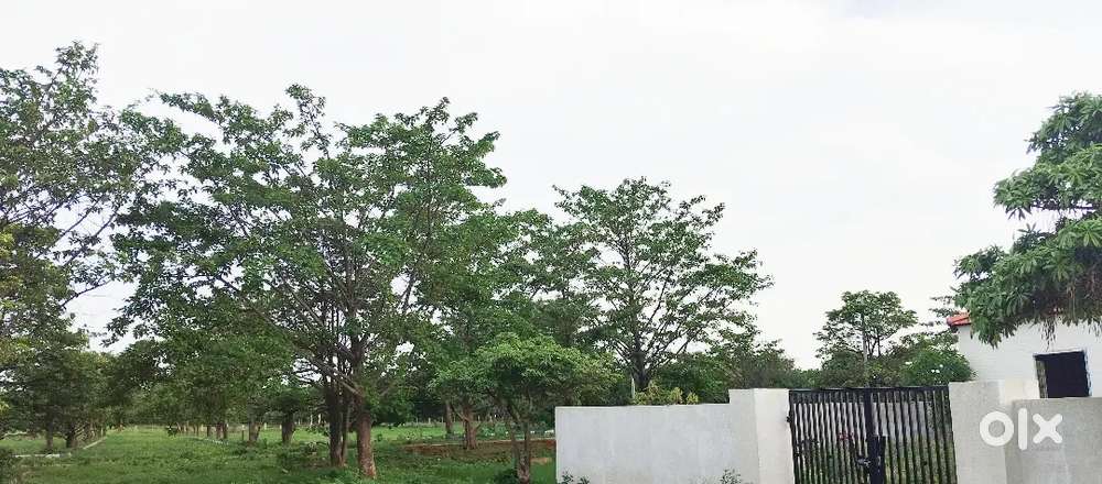 Plots near Timmapur