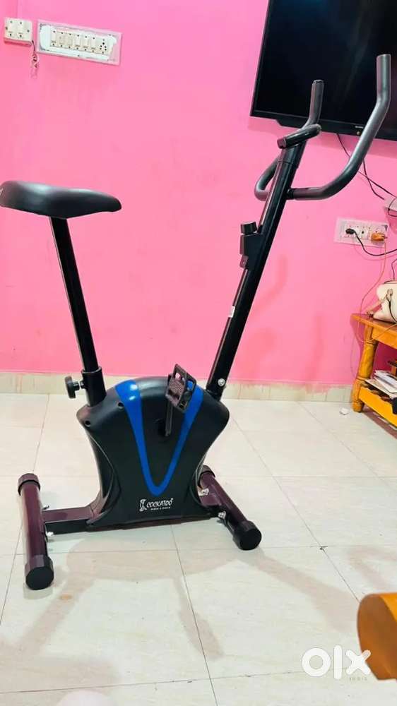 Cockatoo make a move