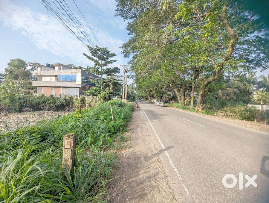 Land 45 cent highway side Kidangoor 45 lakh/cent