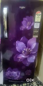 Inverter fridge