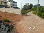 KAKKANAD COLLECTORATE 1.7 KM 7.857 CENTS FOR SALE.