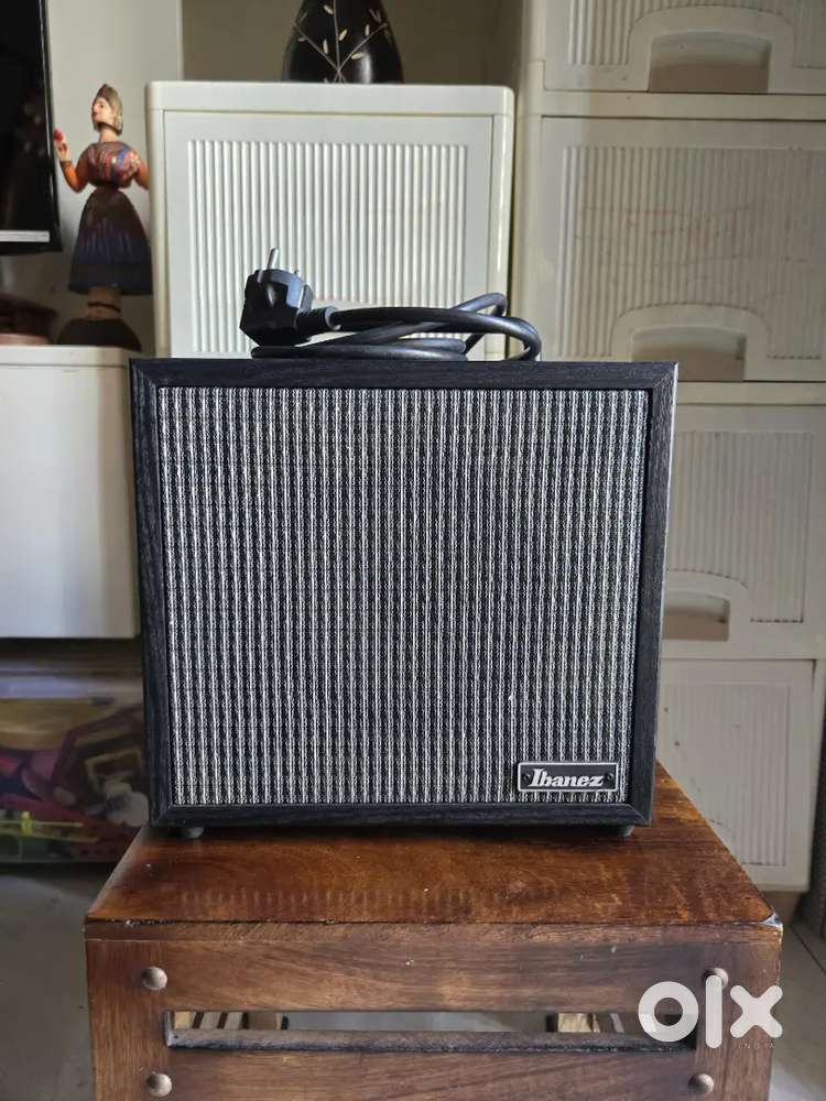 Ibanez Amplifier Speaker
