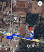 Dtcp Site for sale