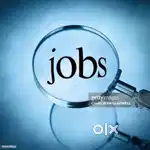 WE 'RE HIRING JOB VACANCY FOR FRESHERS