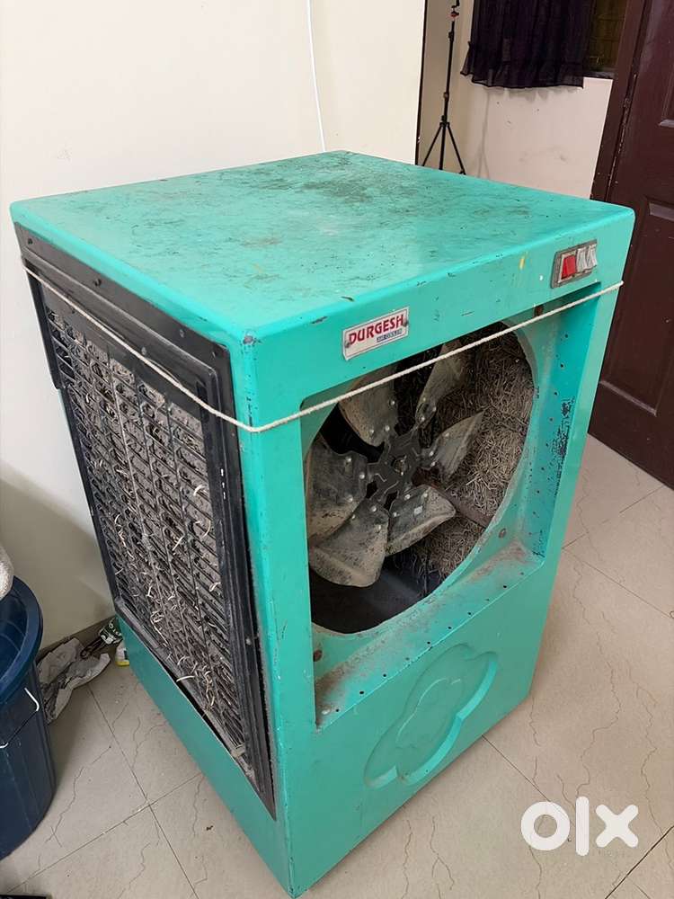 Cooler fan