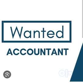 Wanted Accountant and Data operator
