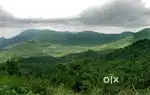 beautiful farmland in Sirumalai