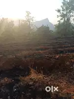 Near Raigad Fort NA land 6.5 acres 55lac on Joint venture