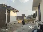 House for sell