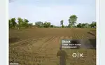 For sale  plotting