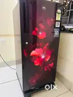 New Fridge