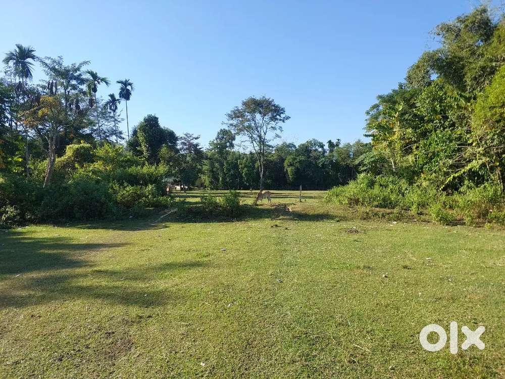 Land for Sale near Dibrugarh (Moranhat