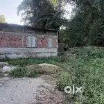Good Condition plot sell in Lakhimpur Ghoramara N.T Road