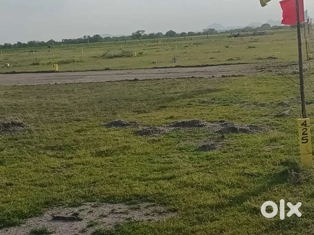 100 SQYDS 4LAKHS ONLY