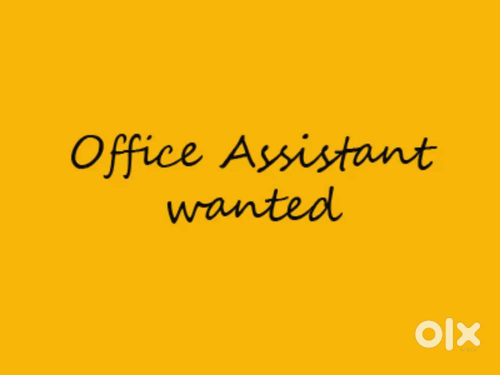 Needed Office Boy