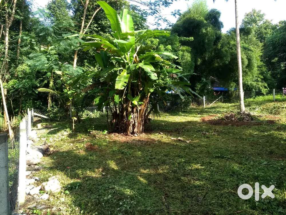 10.5 Cent Commercial/Resident Plot for Sale – Ideal for Warehouse/Home