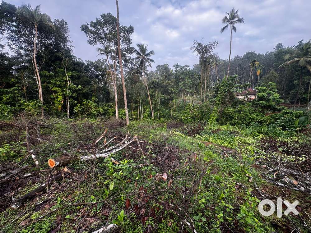98 cent plot for sale in thodupuzha