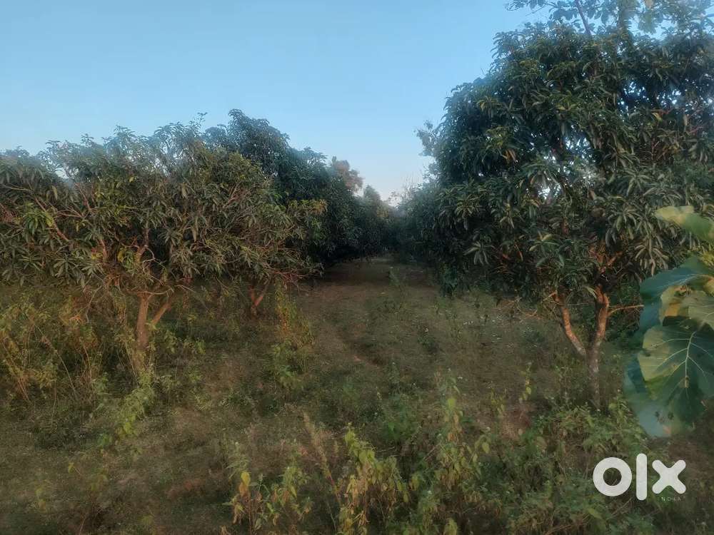 50 cents land for sale.Besid 2line road & Near to national highways.