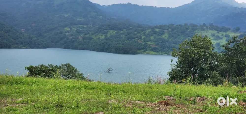 Telecaller cum Sales Executive