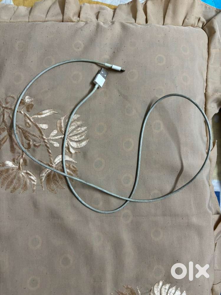 Lightning Cable and Earpods