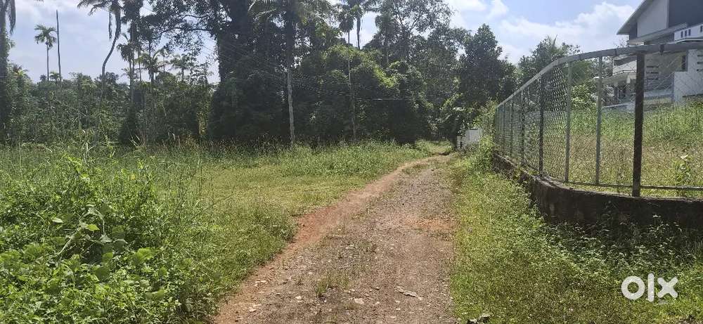 50,25,10,CENT HOUSE PLOT FOR SALE NEAR KOLENCHERRY