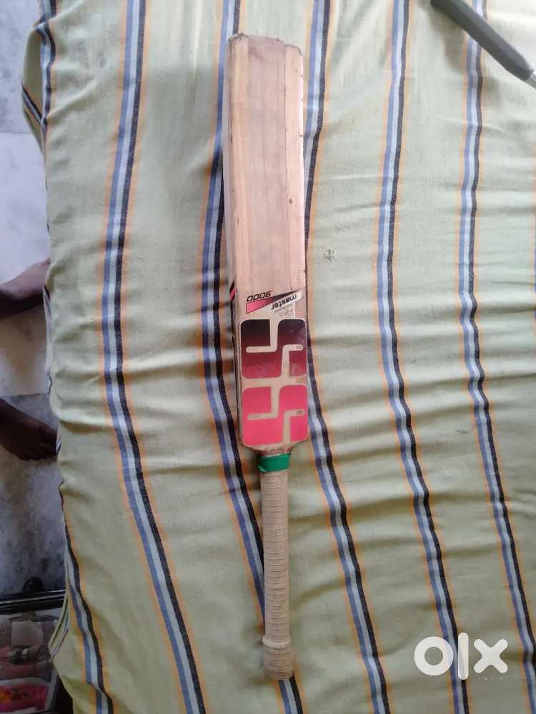 Ss bat kashmir willow