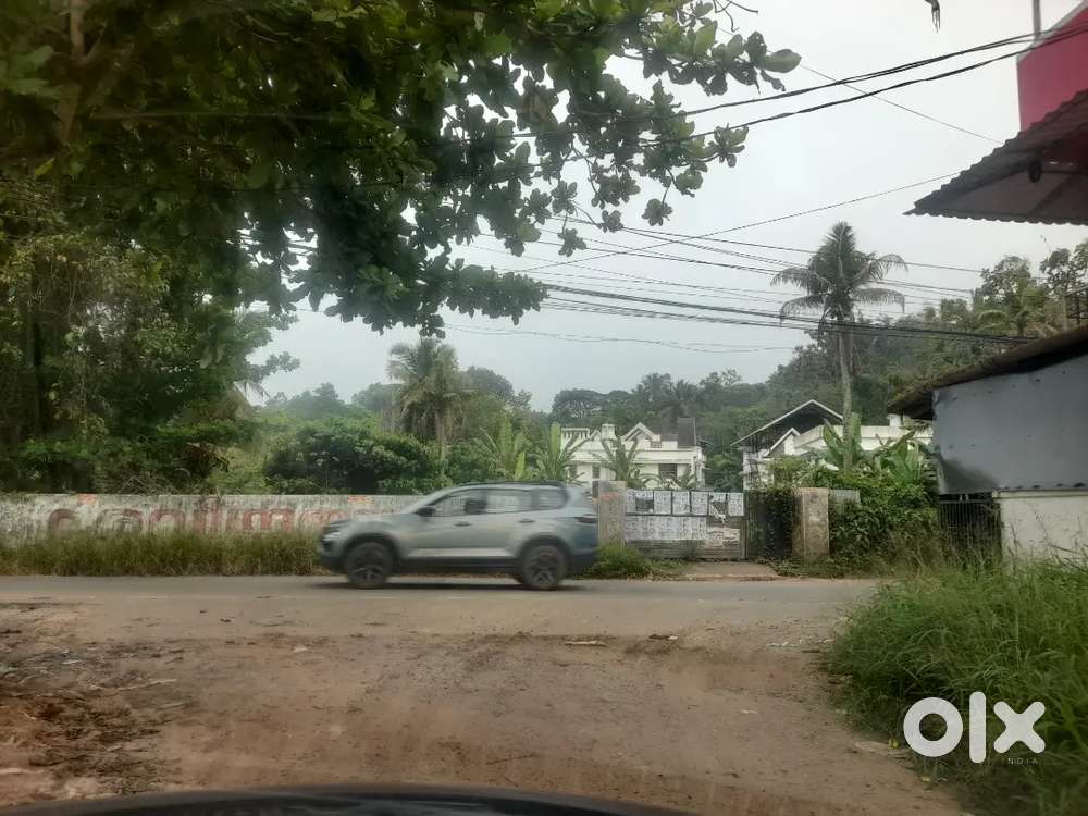Kalamassery medical college 4Acer 50cent plot for sale