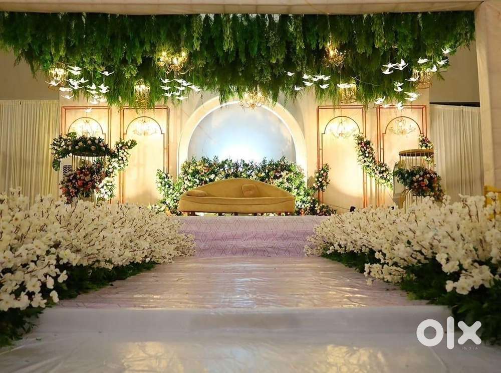 Looking for Investors/ partners for event management company