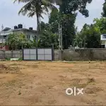 Aluva, Pulinchode 40 cents for Sale