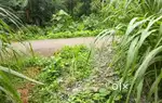 Plot suitable for villa or flat project