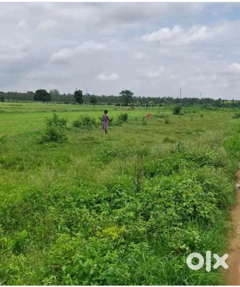 Jk pur Angur  PLOT for sale