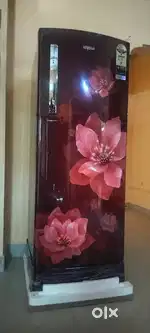 New fridge