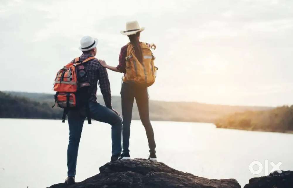 Wanted female travel assistent food and acomidation given