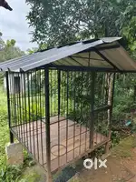 Dog   cage.
