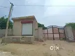 Jhuriya wala village