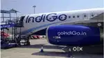 Male and female hiring for airport job