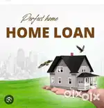 Loan loans