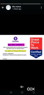 Business Development Executive