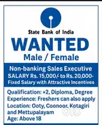 Non-banking sales executive