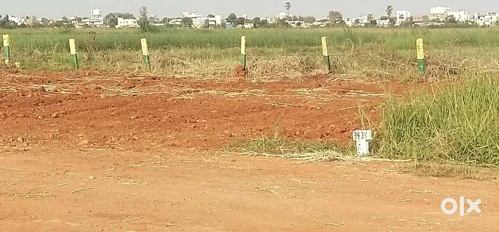 Pathapadu open plots Available near to West Bypass