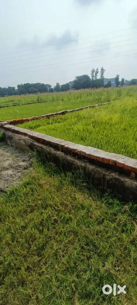 Gorakhpur gahira me plot hai